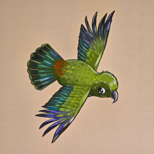 Kea Bird Print | Kat Quin
