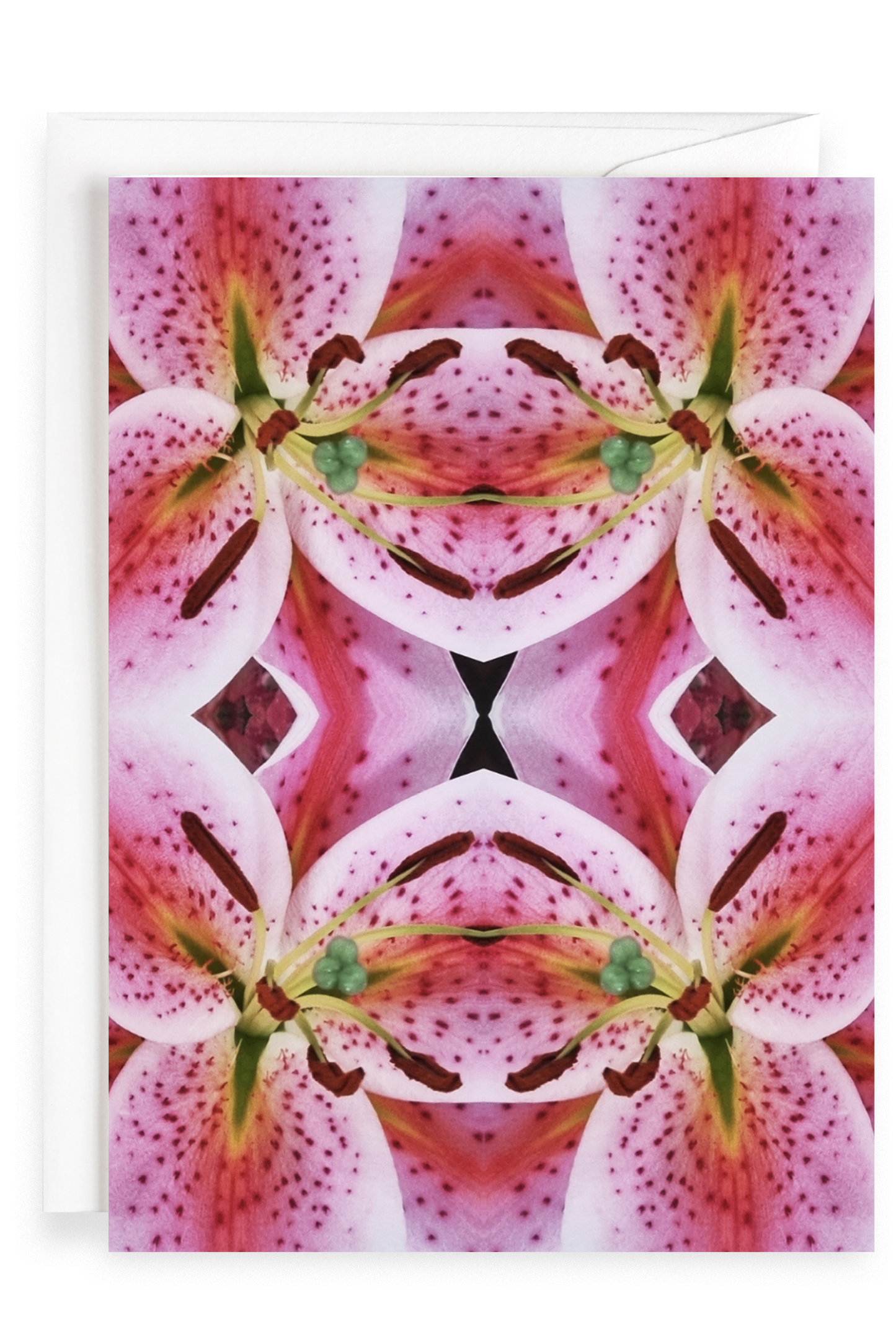 Kaleidoscope Lily | Greeting Card
