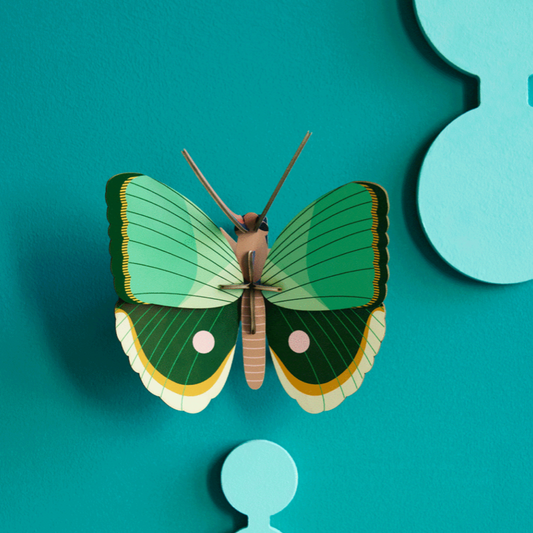 Fern Striped Butterfly | 3D Wall Art