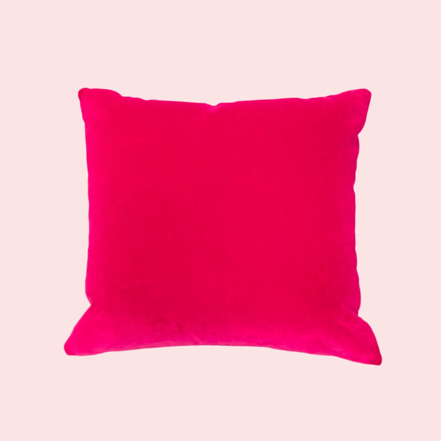 Floral Blue Bug | Velvet Cushion