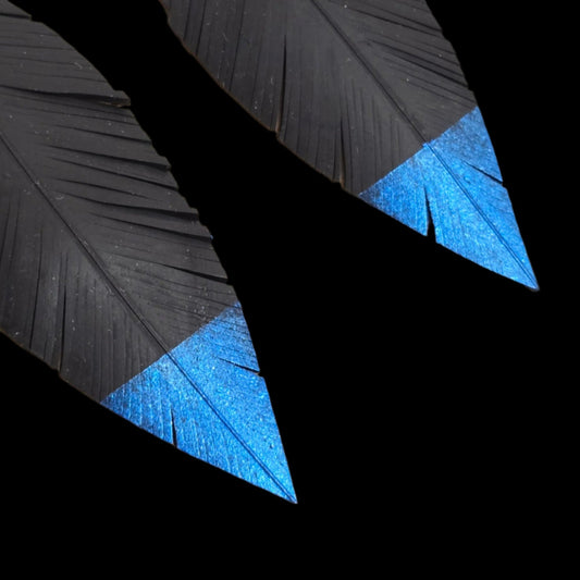 Pique Feather Earrings | Bright Blue Tip