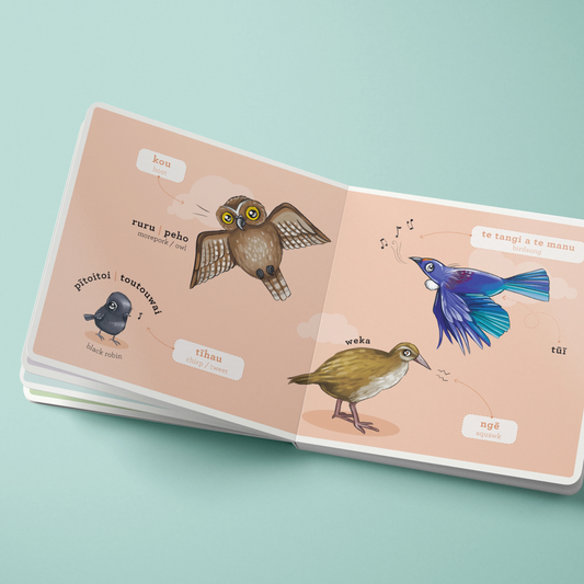 Ngā Manu Māori - Native Birds | Children's Book