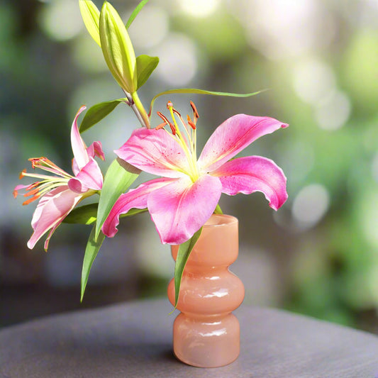 Peach Pink | Glass Vase