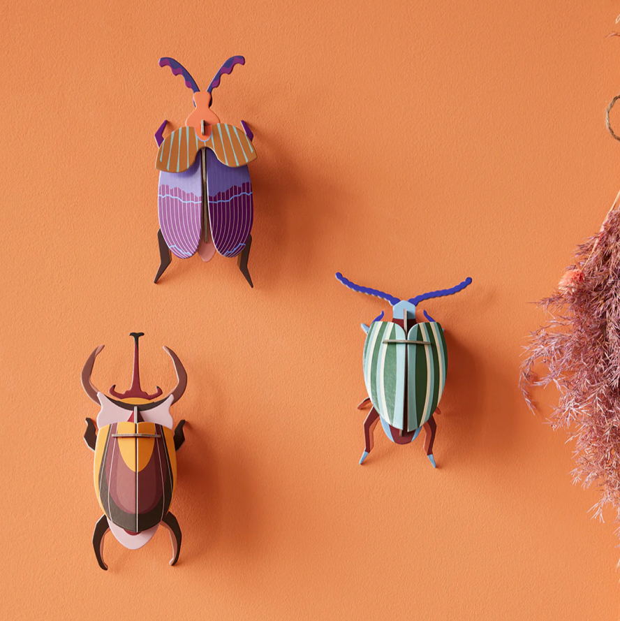 Wall Art Rainbow Leaf Beetle