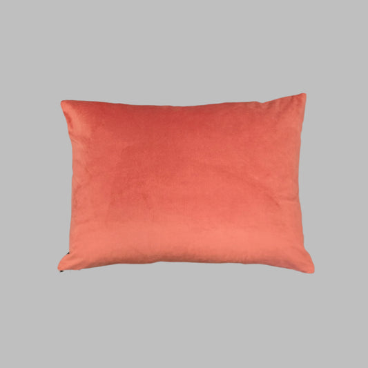 Pop of Flora | Velvet Cushion