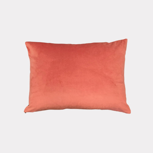 Pop of Flora | Velvet Cushion
