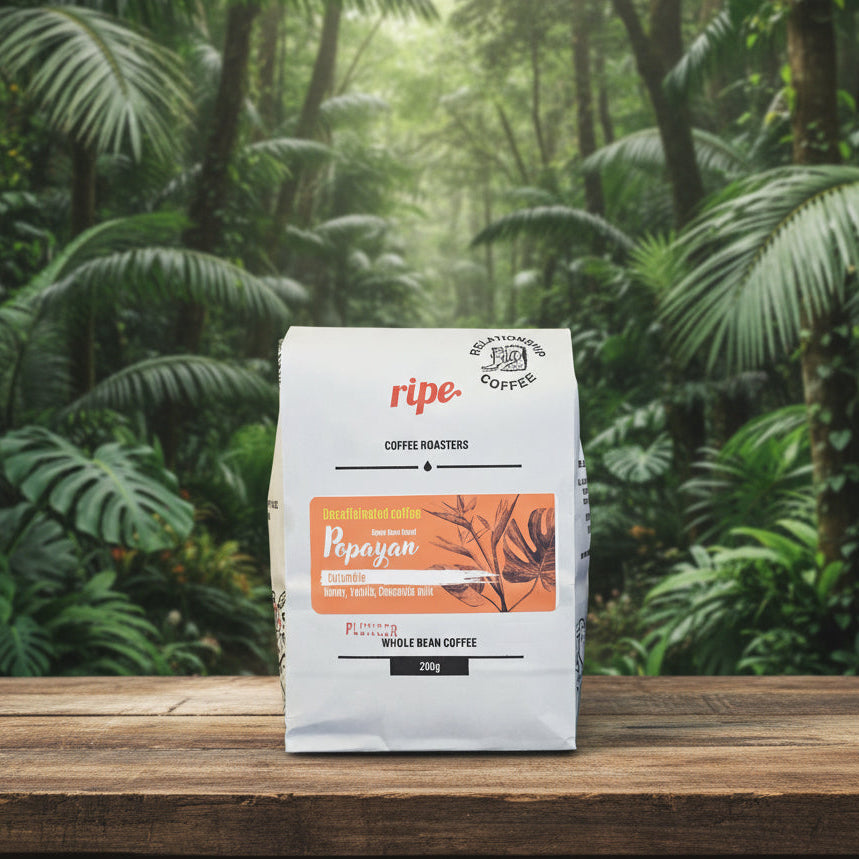 Colombia Popayan Decaf Coffee | Plunger