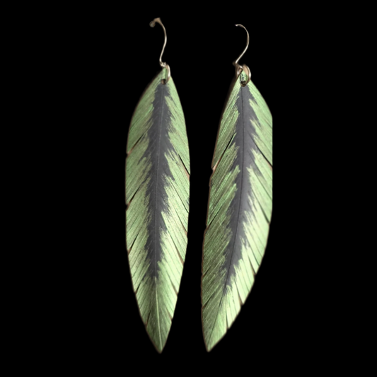 Pique Feather Earrings | Olive
