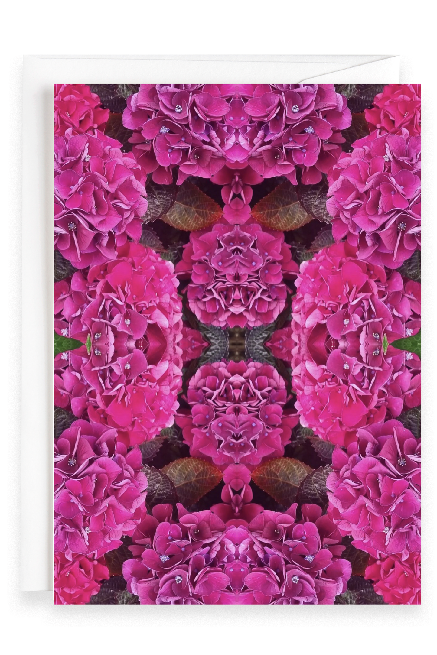Hydrangea Bloom | Greeting Card