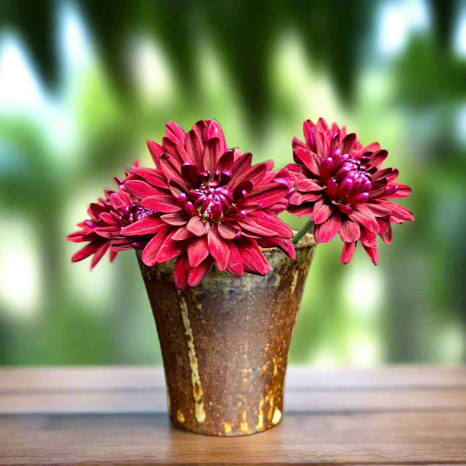 Salt Kiln Fired | Tumbler