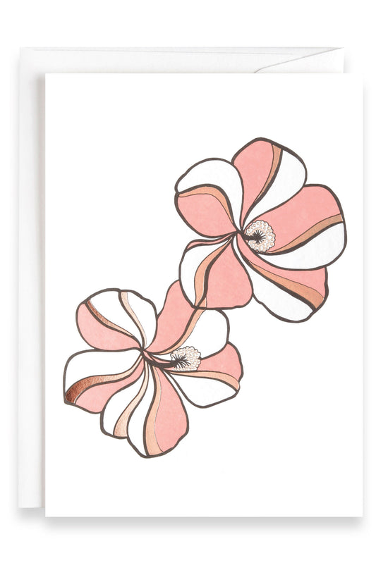 Pink Hibiscus Flower