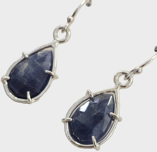 Blue Sapphire Capture Earrings