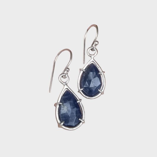Blue Sapphire Capture Earrings
