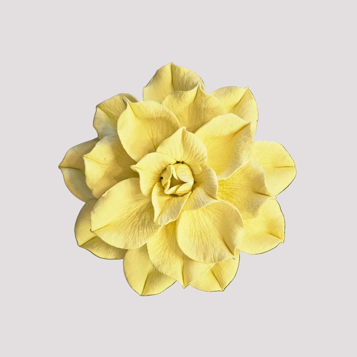 Dahlias Ceramic Wall Flower | Pale Yellow
