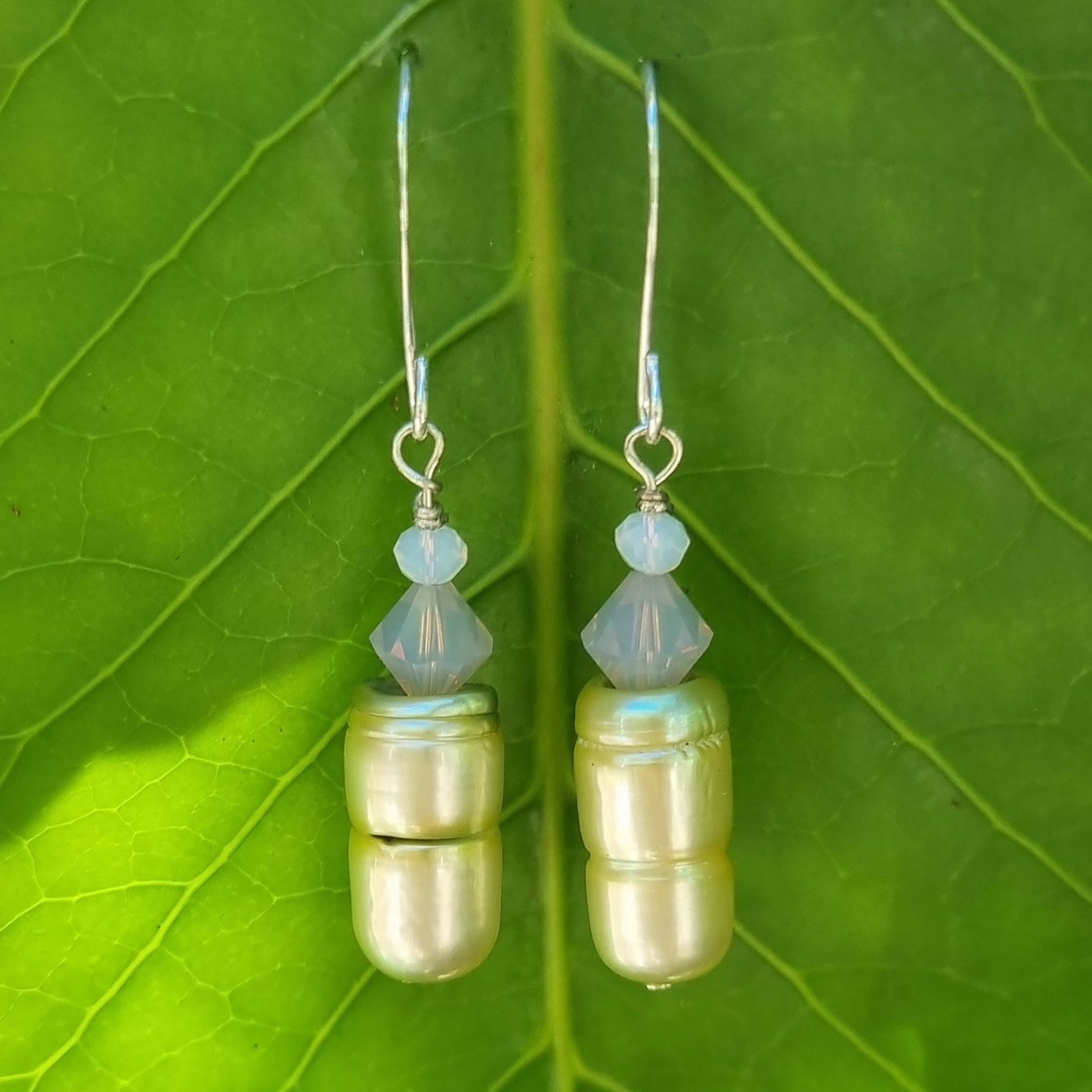 Freshwater Pearl Earrings | Set 20