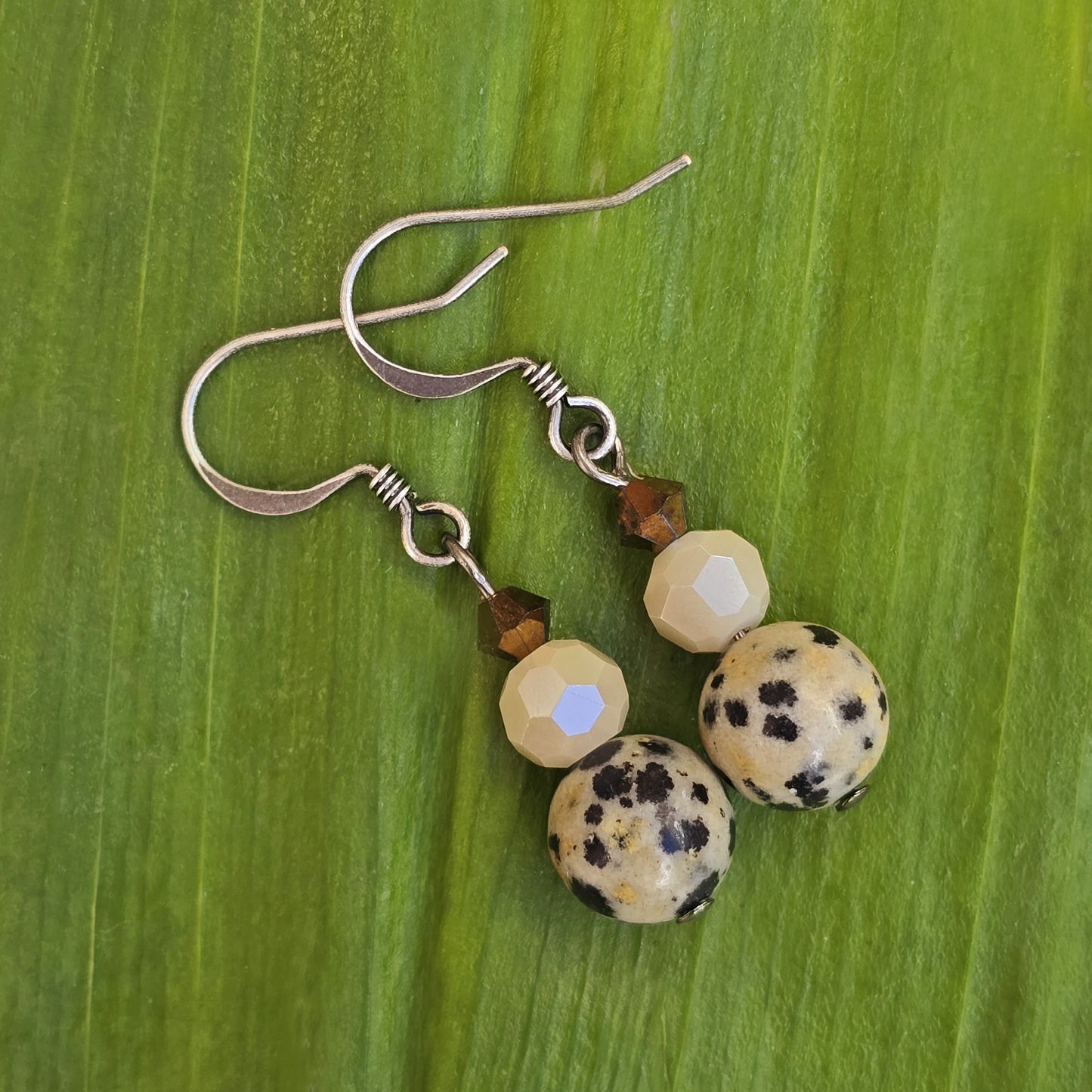 Dalmation Jasper Earrings | Set 30