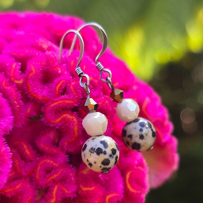 Dalmation Jasper Earrings | Set 30