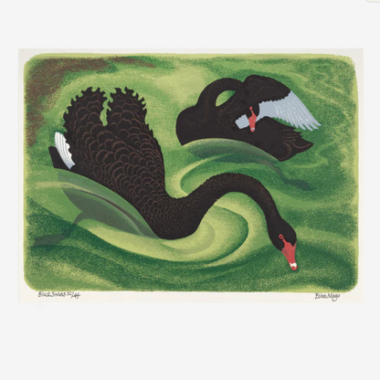 Eileen Mayo Black Swan | A3 Print