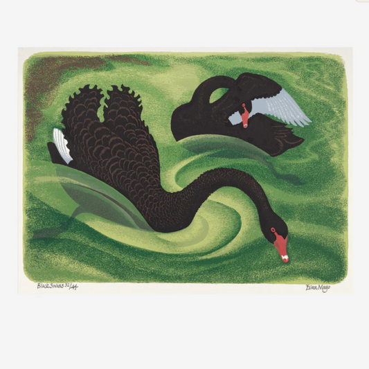 Eileen Mayo Black Swan | A3 Print