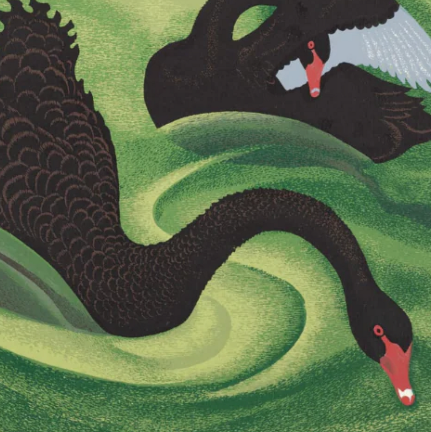 Eileen Mayo Black Swan | A3 Print