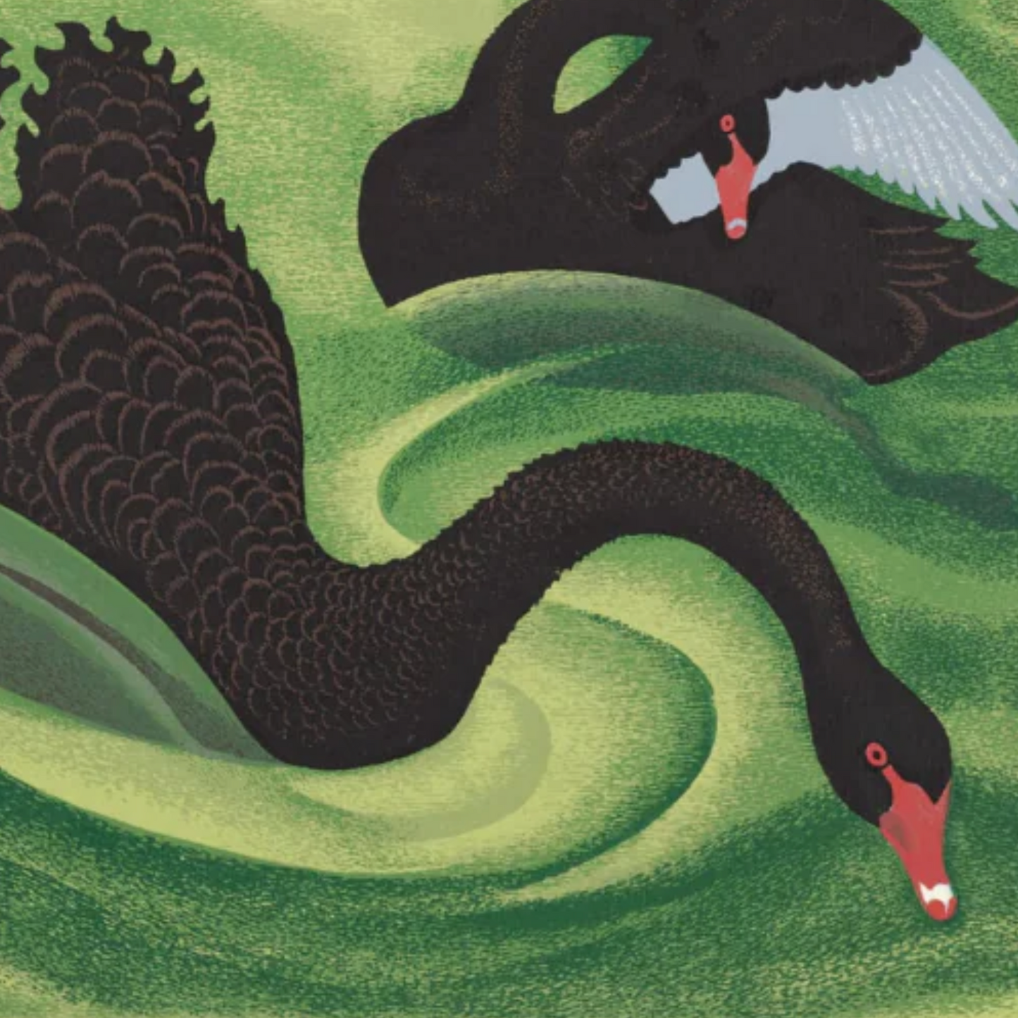 Eileen Mayo Black Swan | A3 Print