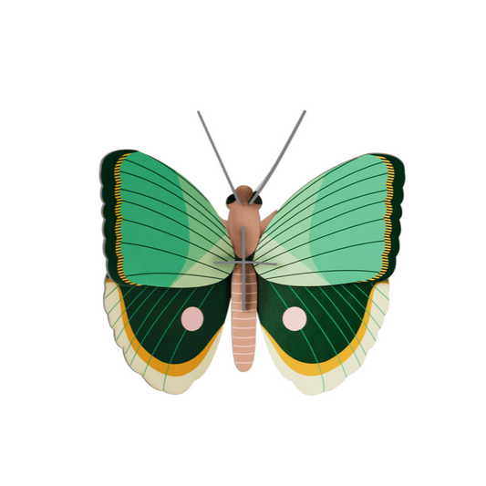 Fern Striped Butterfly