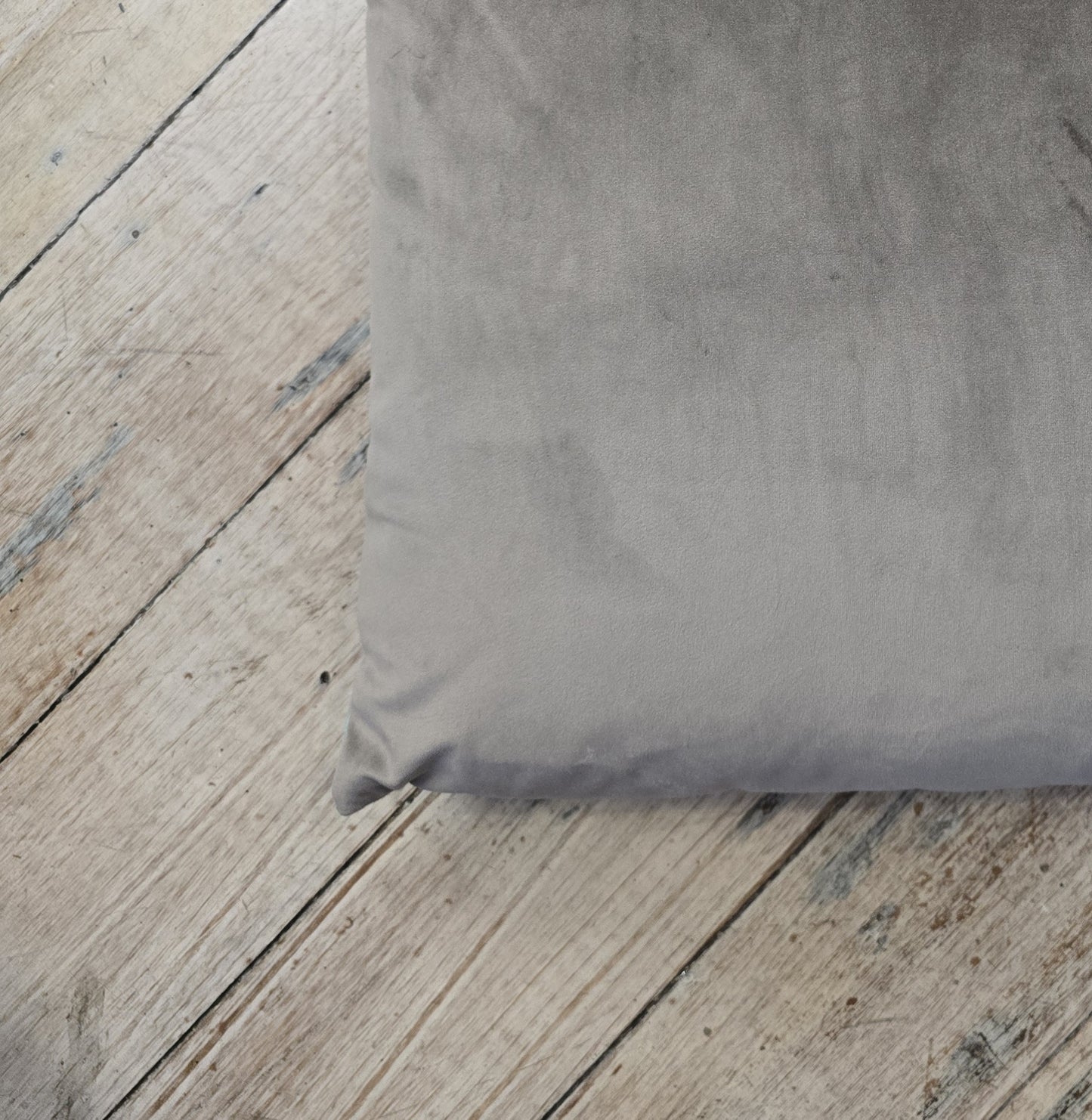 Floral Blue Bug Cushion Cover