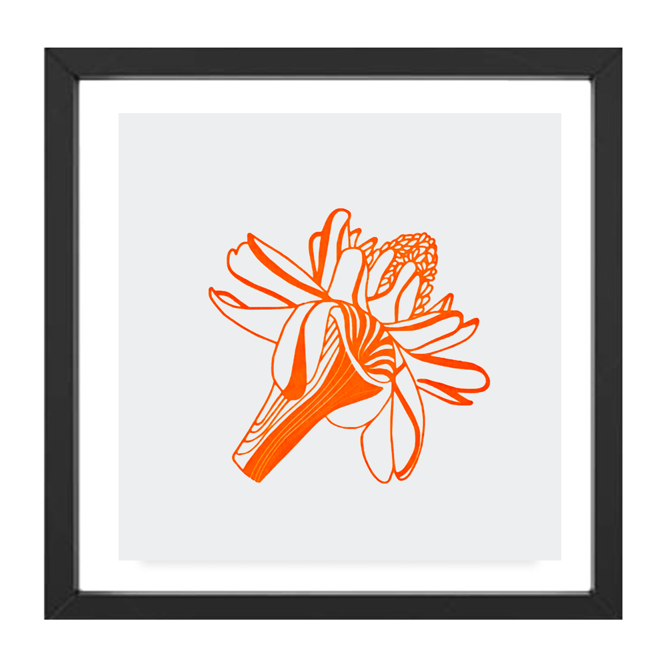 Letterpress Flora | | Mini Print