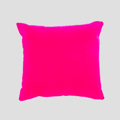 Hydrangea Kaleidoscope | Velvet Cushion