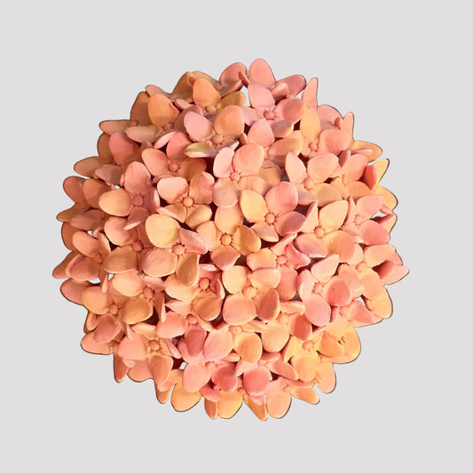 Hydrangea Ceramic Wall Flower | Pink / Orange