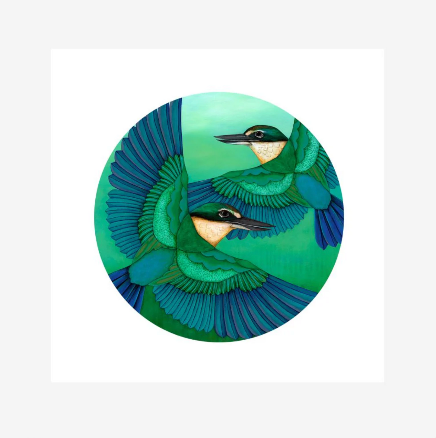 Sacred Kingfisher in Flight Print | Kathryn Furniss