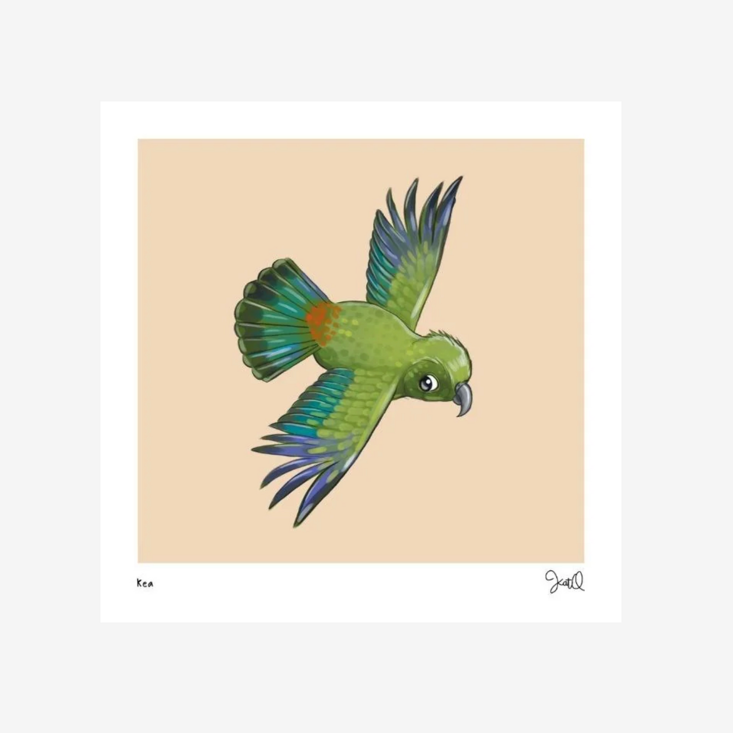 Kea Bird Print | Kat Quin