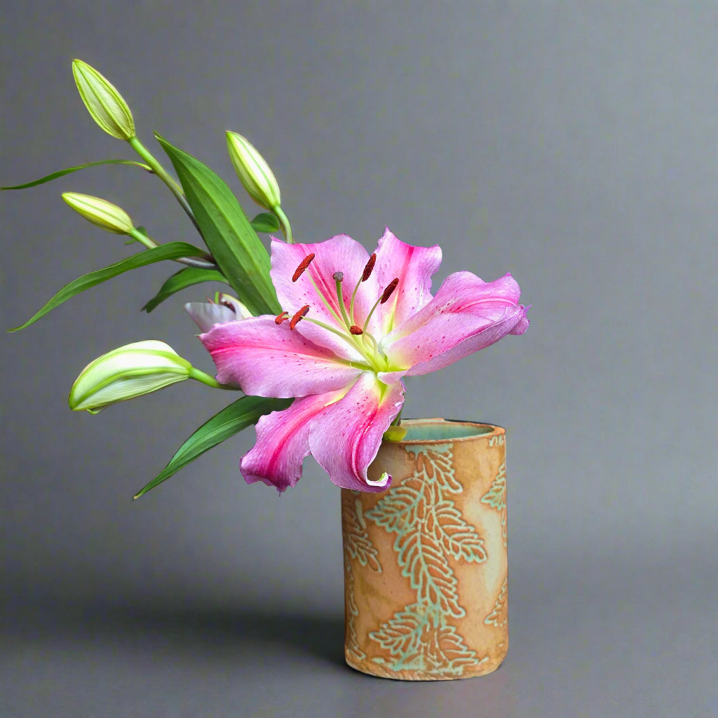 Galit Maxwell potter NZ Buy online