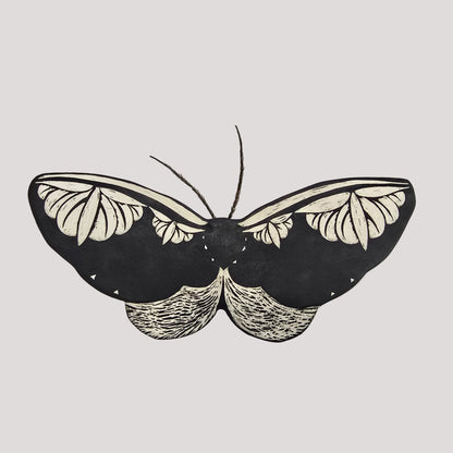Ceramic Black Moth 5 | Large