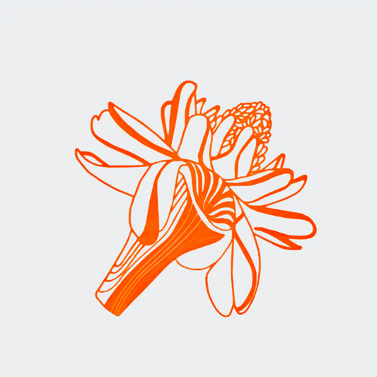 Letterpress Flora | | Mini Print