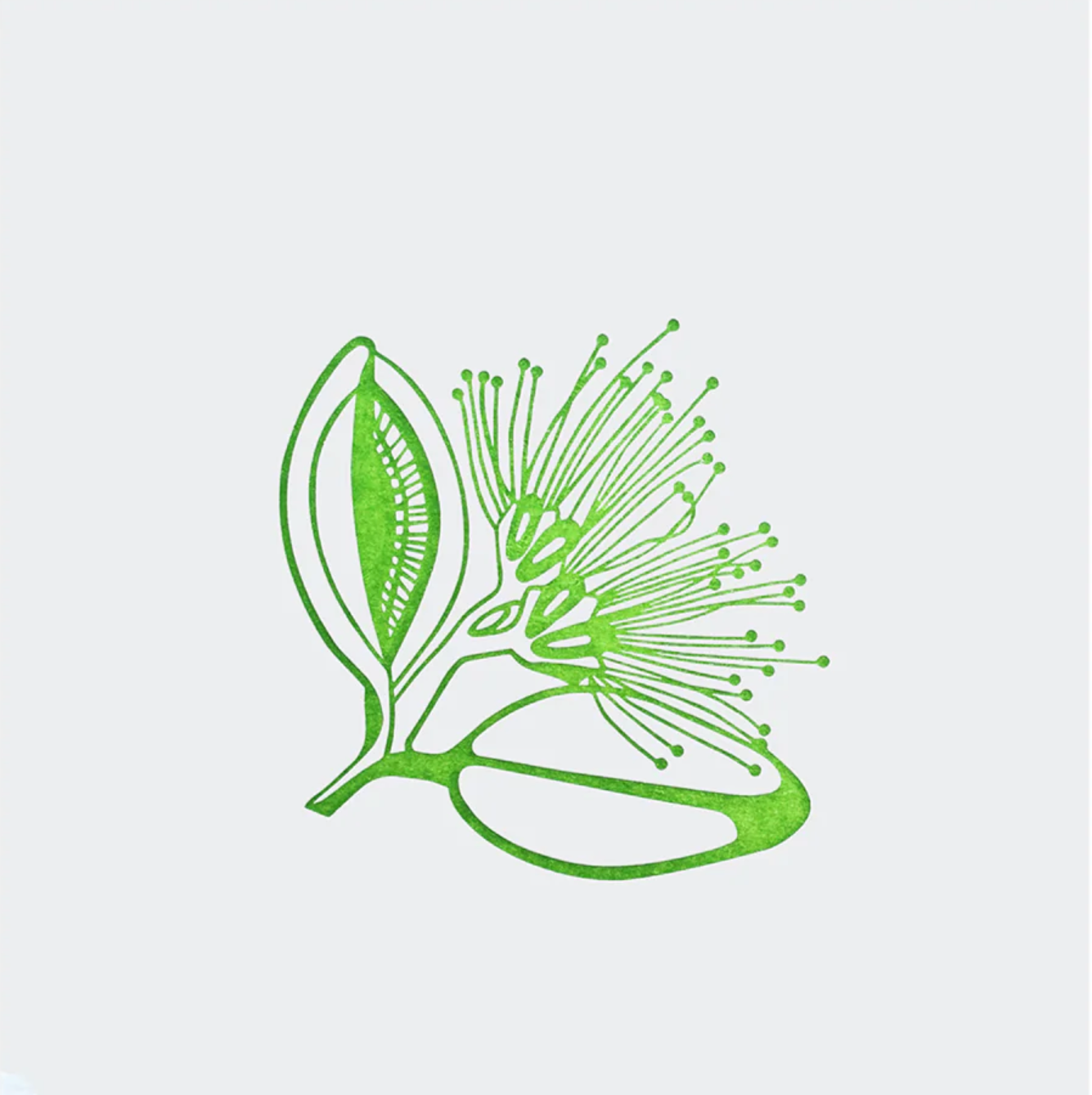 Letterpress Pohutukawa | | Mini Print