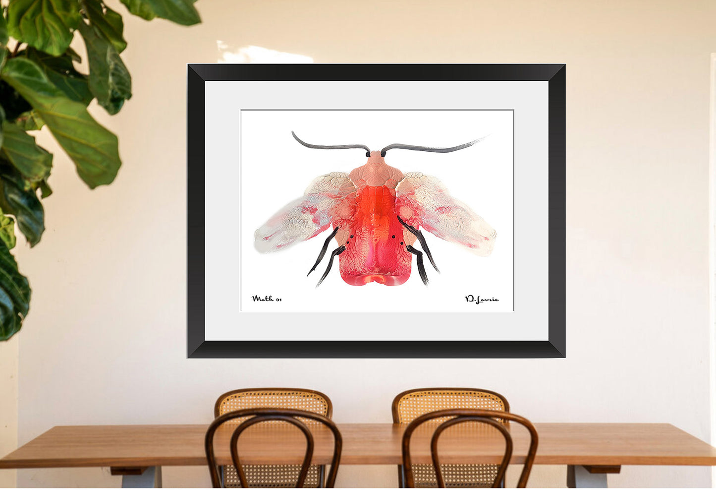 Pink Moth | Archival Art Print