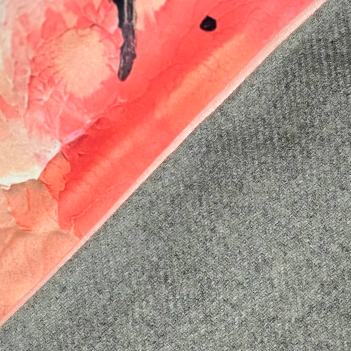 Pink Moth | Velvet Cushion