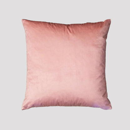 Rhondan + Pink Pastel | Velvet Cushion