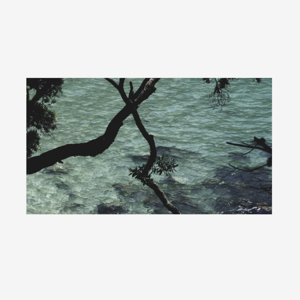 Coromandel Moments Scarf