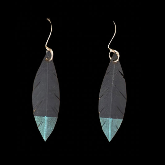 Robin Feather Earrings | Turquoise Tip