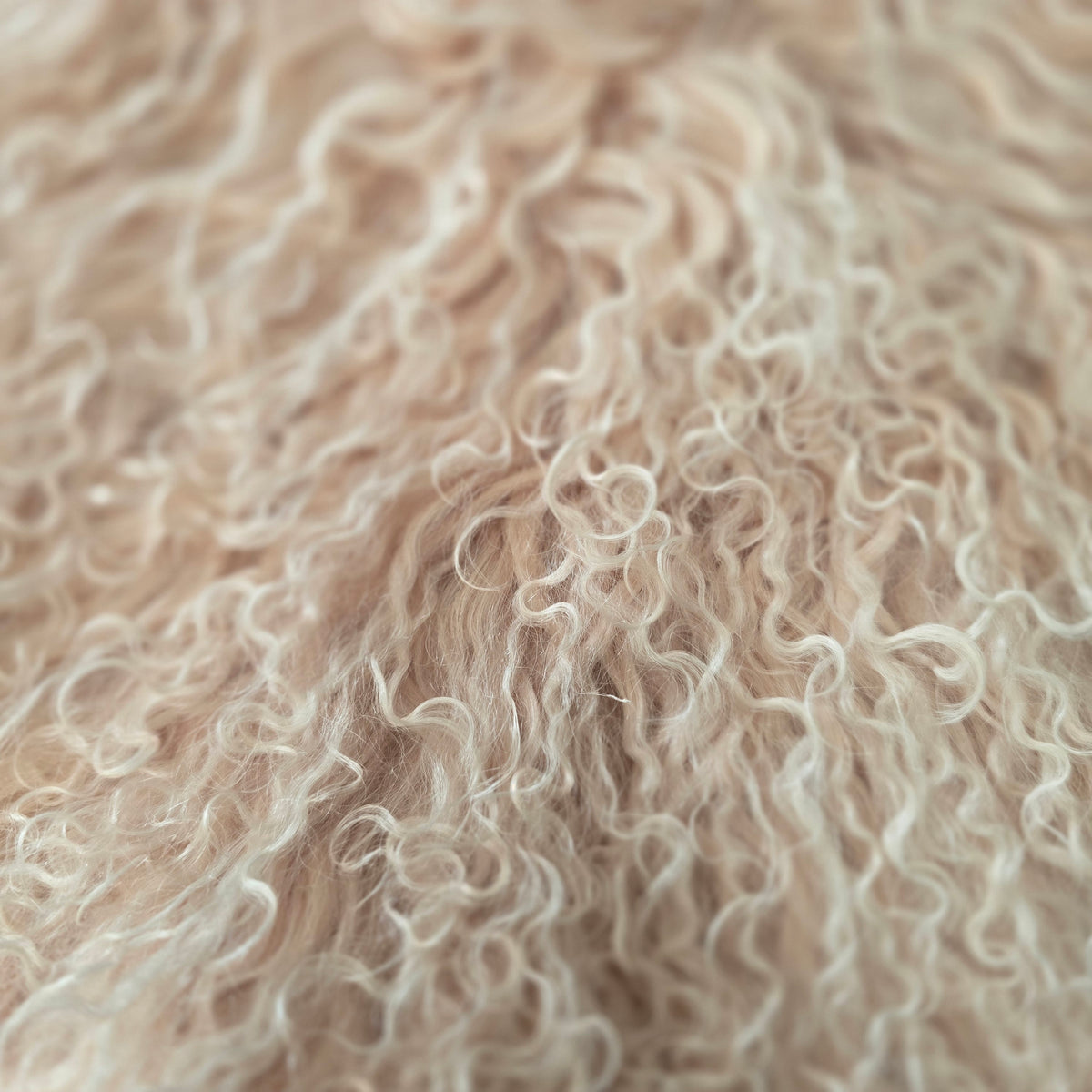 Tibetan Lambskin Rug | Dusky Pink