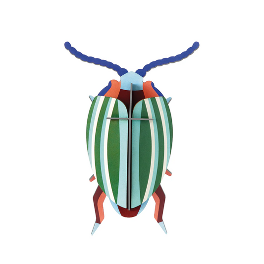 Wall Art Rainbow Leaf Beetle