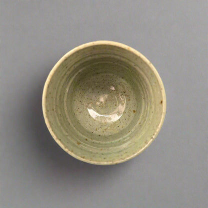 Celadon Green | Tumbler II